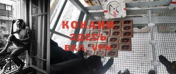 мдма Новозыбков