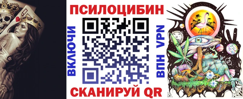 Галлюциногенные грибы GOLDEN TEACHER Новошахтинск