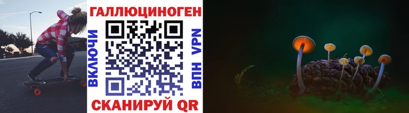 Псилоцибиновые грибы Cubensis  Купить где  Новошахтинск 