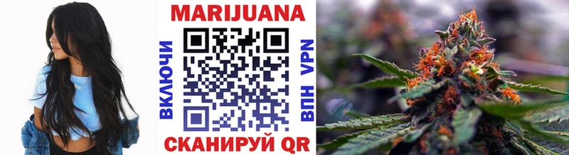 Купить где  Новошахтинск  Бошки марихуана сатива 